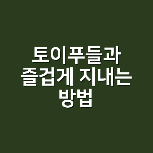토이푸들과 즐겁게 지내는 방법 - 요약