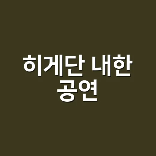 히게단 내한 공연, 놓치지 말아야 할 이유 - 요약
