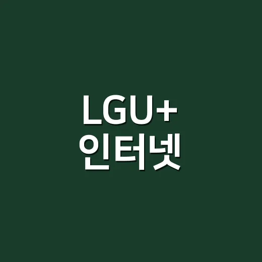 LGU+ 인터넷, 이렇게 선택하면 실패 없다! - 요약