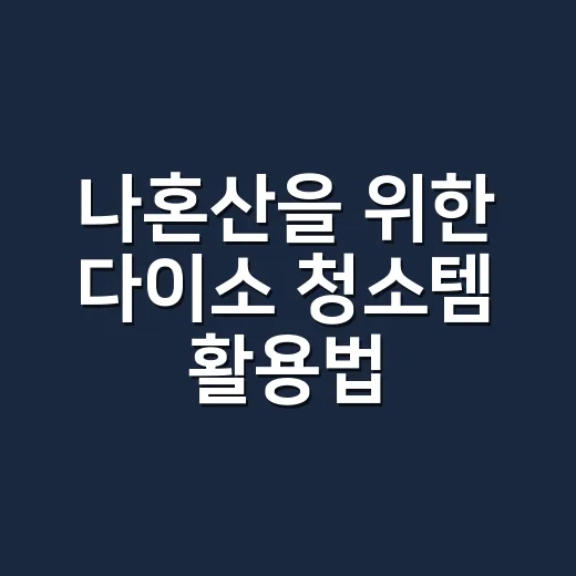 나혼산을 위한 다이소 청소템 활용법 - 요약