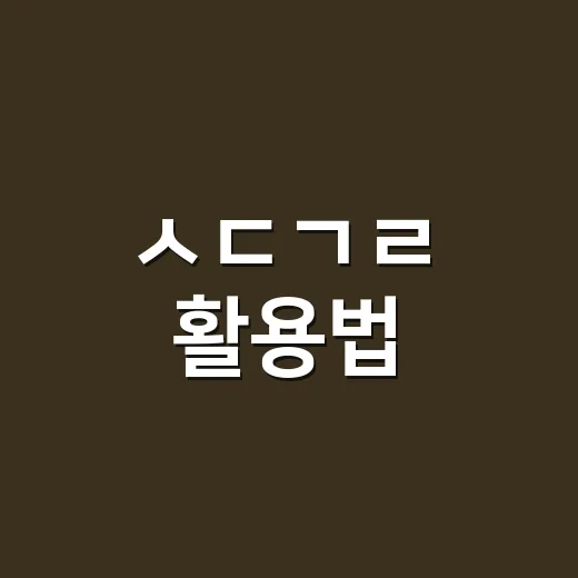 ㅅㄷㄱㄹ 활용법: 일상에서 손쉽게 적용하는 방법 - 요약