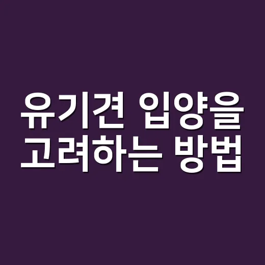 유기견 입양을 고려하는 방법 - 요약
