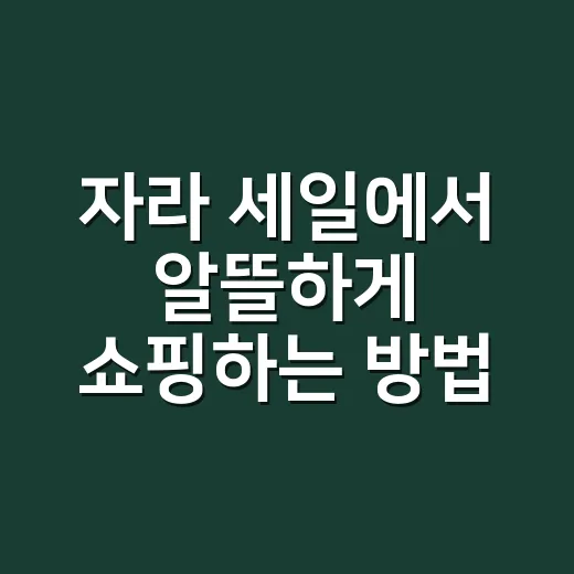 자라 세일에서 알뜰하게 쇼핑하는 방법 - 요약