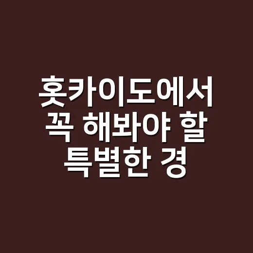 홋카이도에서 꼭 해봐야 할 특별한 경험 - 요약