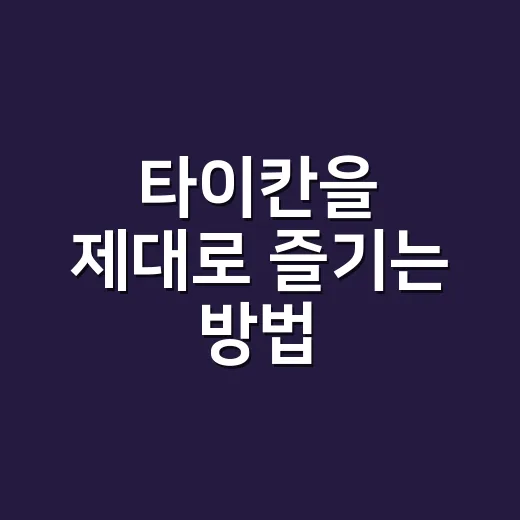 타이칸을 제대로 즐기는 방법 - 요약