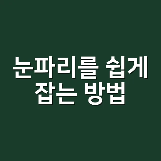 눈파리를 쉽게 잡는 방법 - 요약