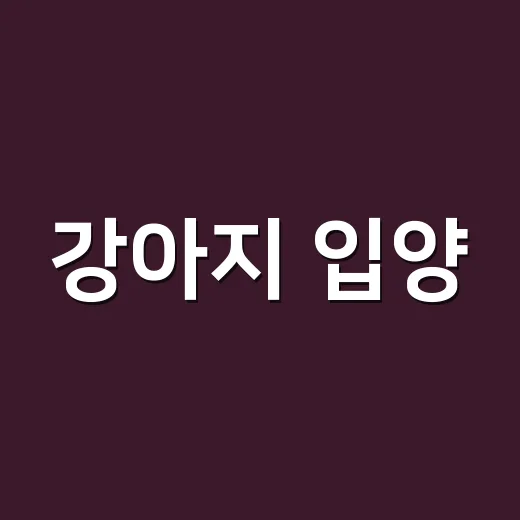 강아지 입양, 이렇게 준비하면 걱정 끝! - 요약