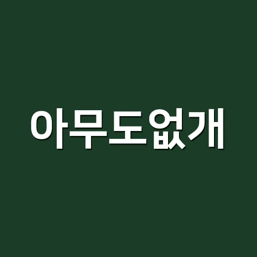 아무도없개: 반려견과의 특별한 시간을 보내는 방법 - 요약