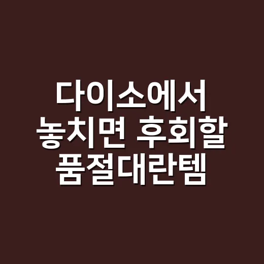 다이소에서 놓치면 후회할 품절대란템 4가지 - 요약