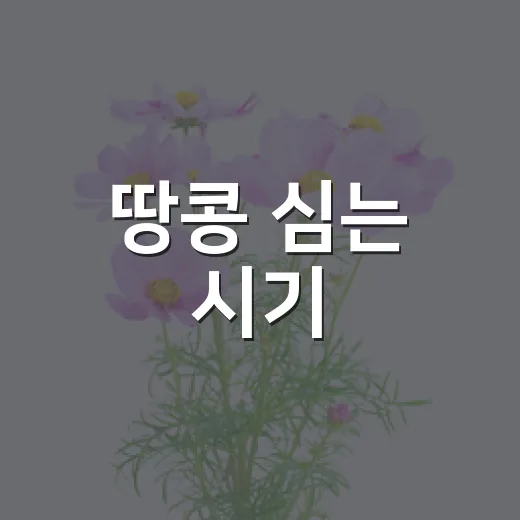 땅콩 심는 시기: 언제가 가장 좋을까요? - 요약