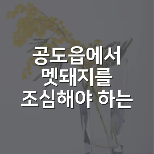 공도읍에서 멧돼지를 조심해야 하는 이유와 대처법 - 요약