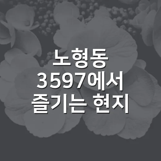 노형동 3597에서 즐기는 현지 라이프 스타일 - 요약