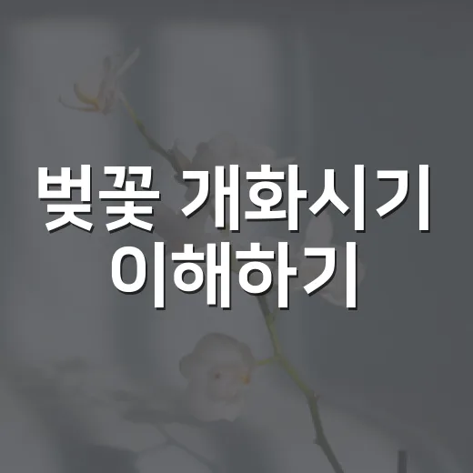 벚꽃 개화시기 이해하기: 봄을 더 즐겁게 - 요약