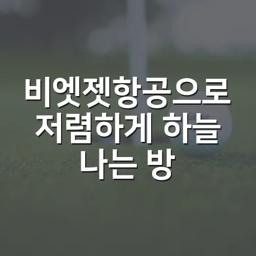 비엣젯항공으로 저렴하게 하늘 나는 방법 - 요약