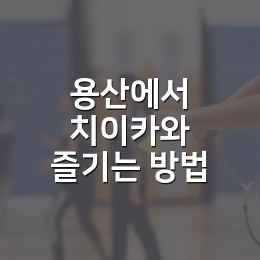 용산에서 치이카와 즐기는 방법 - 요약