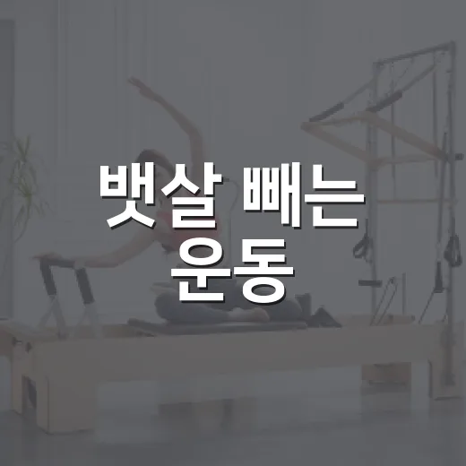 뱃살 빼는 운동, 이렇게 시작해보세요 - 요약