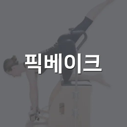 픽베이크, 알고 나면 더 재미있는 활용법 - 요약