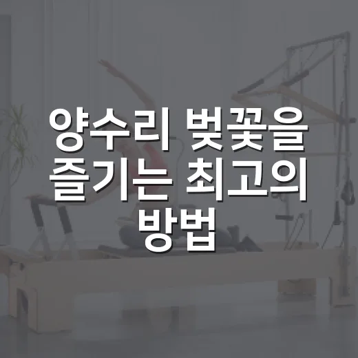 양수리 벚꽃을 즐기는 최고의 방법 - 요약