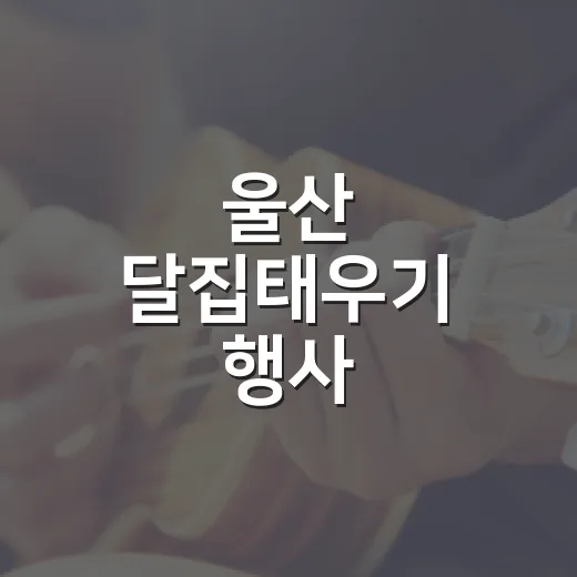 울산 달집태우기 행사, 이렇게 즐겨보세요 - 요약