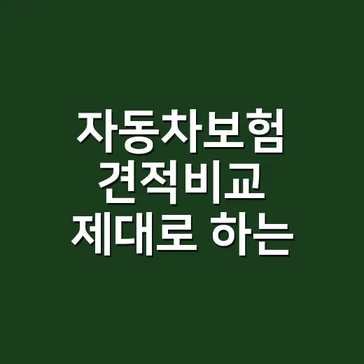 자동차보험 견적비교 제대로 하는 방법, 싼 보험료보다 먼저 볼 항목 - 요약