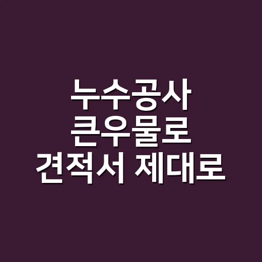 누수공사 큰우물로 견적서 제대로 보는 방법 - 요약