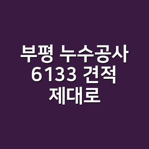부평 누수공사 6133 견적 제대로 받는 방법 - 요약