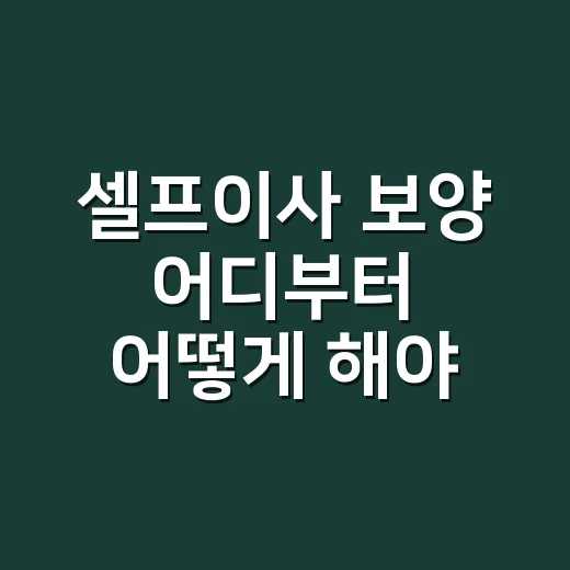 셀프이사 보양 어디부터 어떻게 해야 할까 - 요약