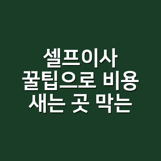 셀프이사 꿀팁으로 비용 새는 곳 막는 방법 - 요약