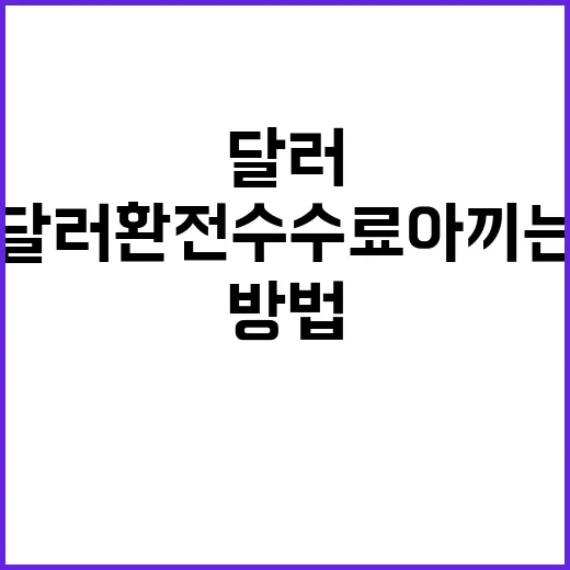 달러환전수수료 아끼는 방법, 초보자도 헷갈리지 않게 이렇게 보면 됩니다 - 요약