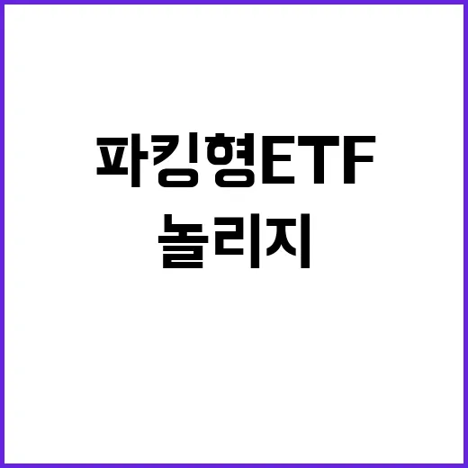 파킹형ETF 활용하는 방법, 현금 놀리지 않으려면 이렇게 보세요 - 요약