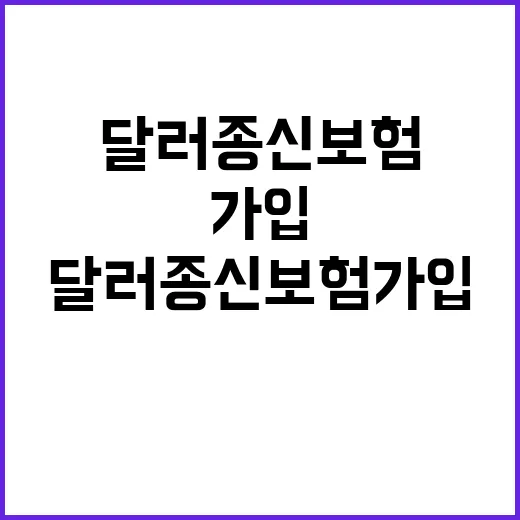 달러종신보험 가입하려면 이렇게 따져보세요 - 요약