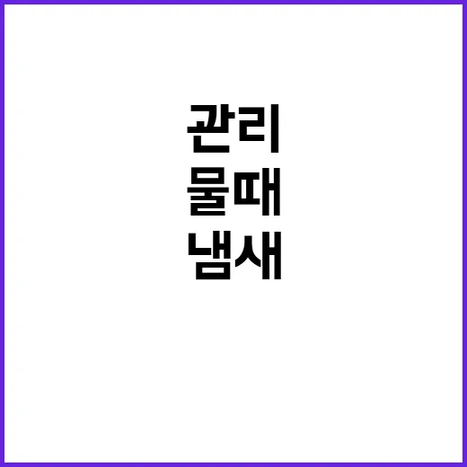 씽크대 오래 깨끗하게 쓰는 방법, 냄새와 물때까지 줄이는 관리 습관 - 요약