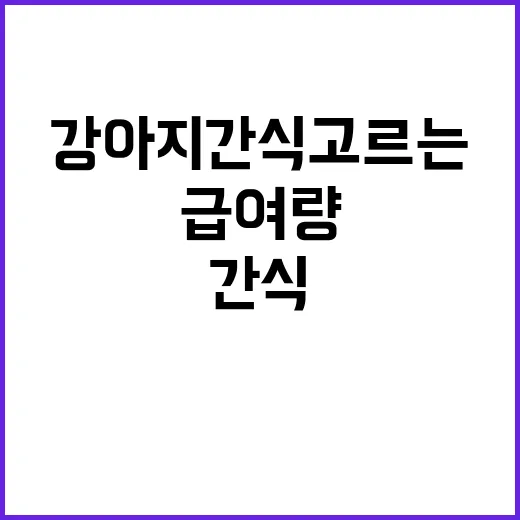 강아지간식 고르는 방법, 성분표부터 급여량까지 초보 보호자 가이드 - 요약