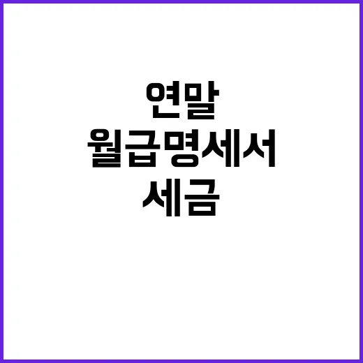 초보자를 위한 세금 관리하는 방법, 월급명세서부터 연말까지 이렇게 챙기기 - 요약