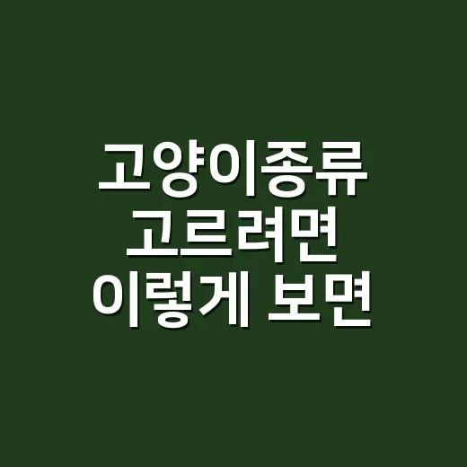 고양이종류 고르려면 이렇게 보면 쉬워요: 성격·털·생활패턴 기준 - 요약