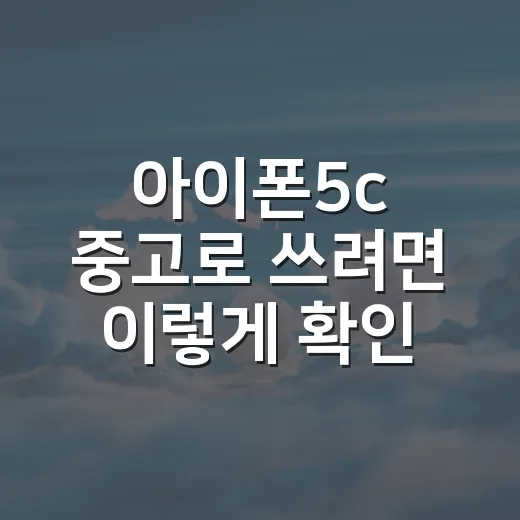 아이폰5c 중고로 쓰려면 이렇게 확인하는 방법 - 요약