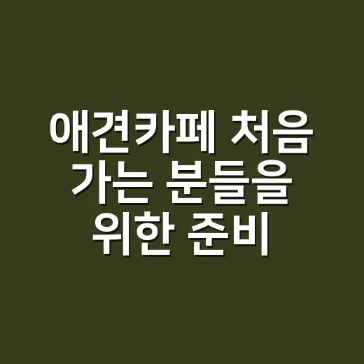 애견카페 처음 가는 분들을 위한 준비물과 이용 방법 - 요약