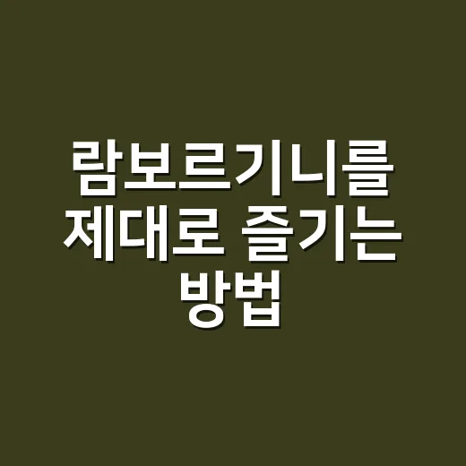 람보르기니를 제대로 즐기는 방법, 초보자를 위한 현실 가이드 - 요약