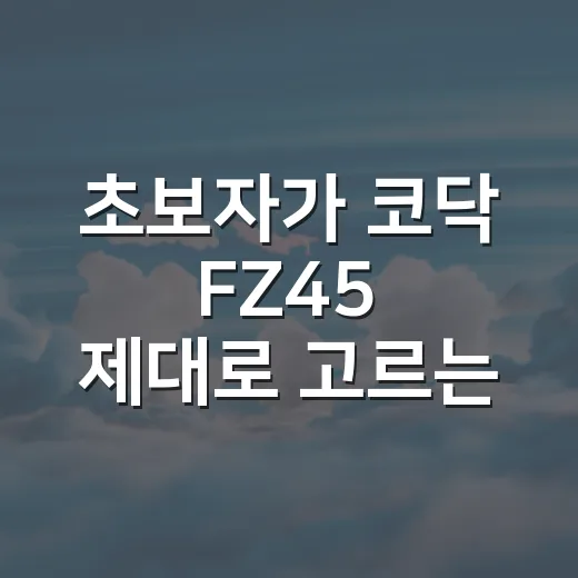 초보자가 코닥 FZ45 제대로 고르는 방법 - 요약
