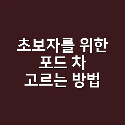 초보자를 위한 포드 차 고르는 방법, 모델별 특징부터 유지비까지 이렇게 보면 쉽습니다 - 요약