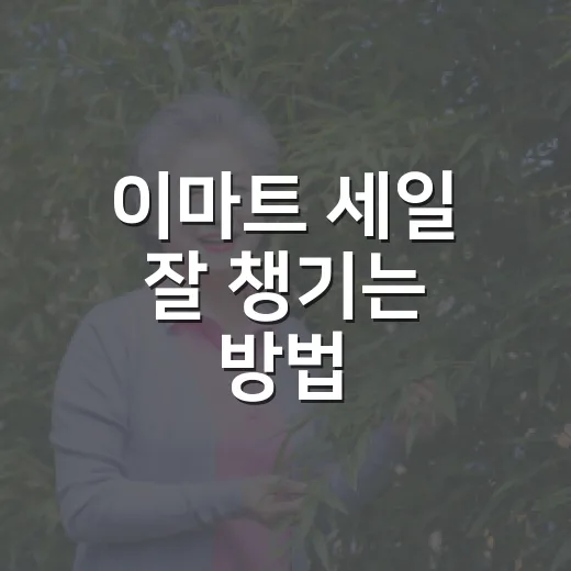 이마트 세일 잘 챙기는 방법, 장보기 전에 이렇게 확인하세요 - 요약