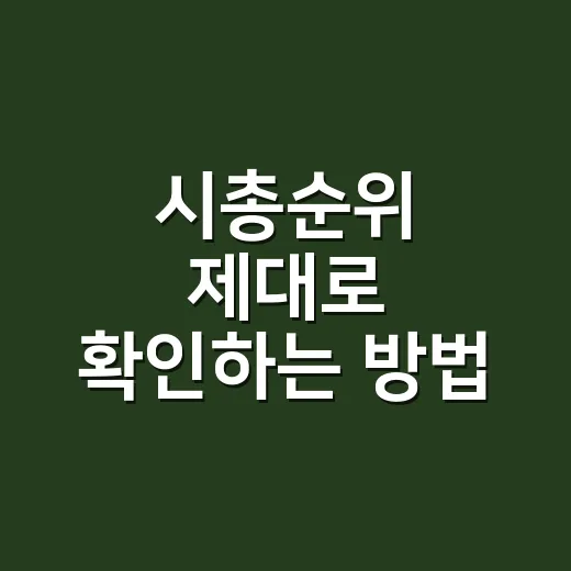 시총순위 제대로 확인하는 방법, 초보자는 이렇게 보면 쉽습니다 - 요약