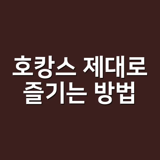호캉스 제대로 즐기는 방법, 예약 전부터 체크아웃까지 이렇게 준비하세요 - 요약