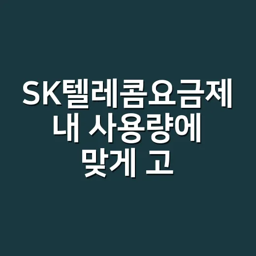 SK텔레콤요금제 내 사용량에 맞게 고르는 방법 - 요약