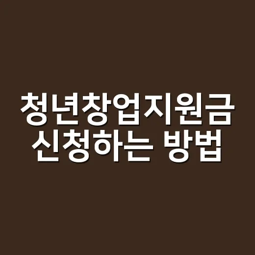 청년창업지원금 신청하는 방법, 처음 준비할 때 놓치기 쉬운 부분까지 - 요약