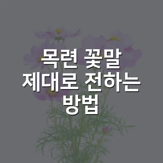 목련 꽃말 제대로 전하는 방법, 색깔별 의미와 선물할 때 쓰기 좋은 말 - 요약