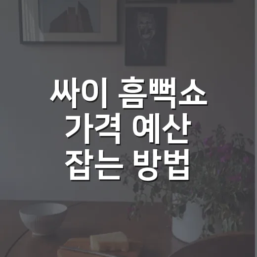 싸이 흠뻑쇼 가격 예산 잡는 방법: 좌석별 차이와 추가비용 계산하기 - 요약