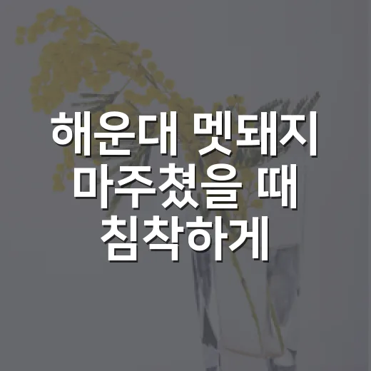해운대 멧돼지 마주쳤을 때 침착하게 대처하는 방법 - 요약