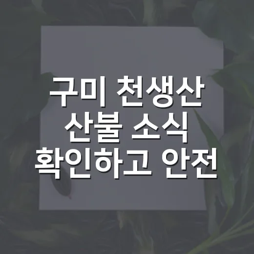 구미 천생산 산불 소식 확인하고 안전하게 대응하는 방법 - 요약