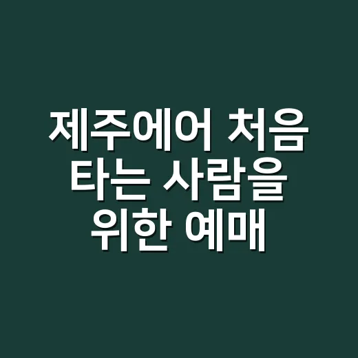 제주에어 처음 타는 사람을 위한 예매·수하물·체크인 준비 방법 - 요약